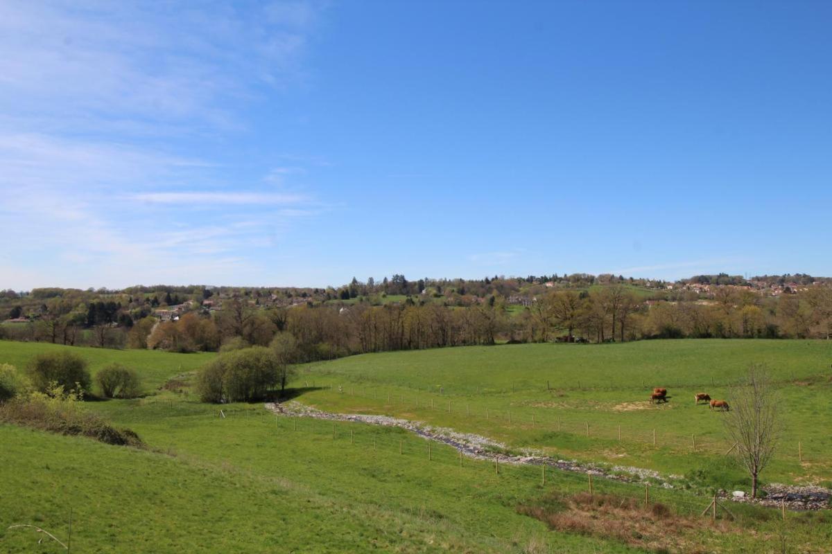 Chez Le Bayle Villa Condat-sur-Vienne Eksteriør billede