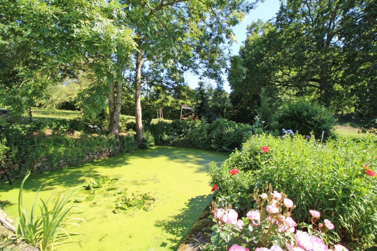 Chez Le Bayle Villa Condat-sur-Vienne Eksteriør billede